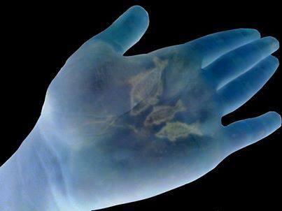 Fishing 4 - 10165234685465799016182042794358n.jpg